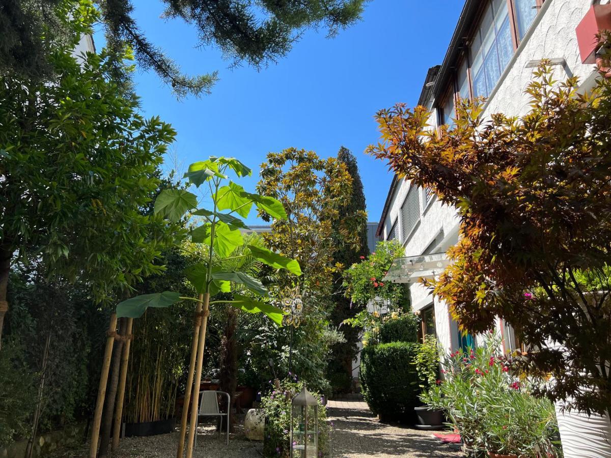Haus Pia Executive Suites フリードリヒスハーフェン エクステリア 写真